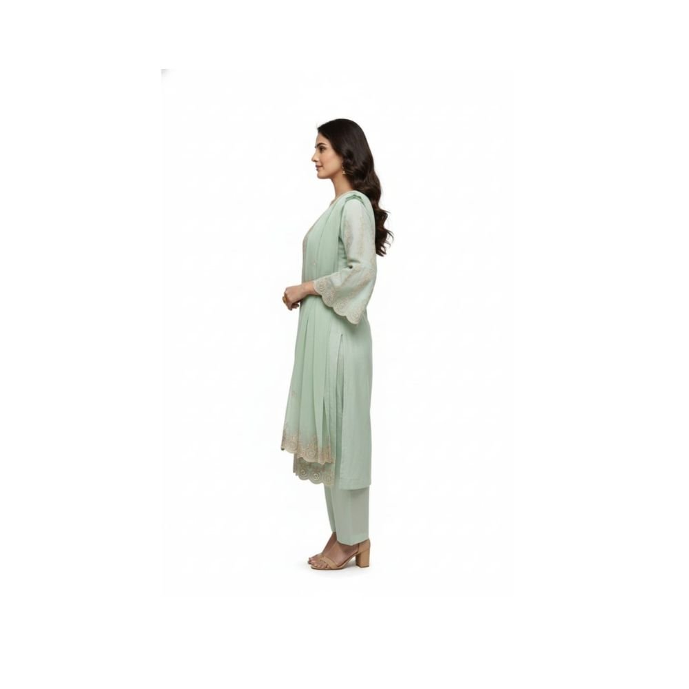 Kurti pant set 3